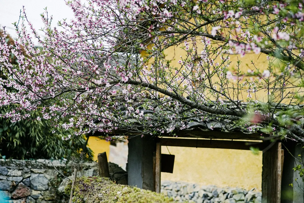 Little Ashford in Spring vs. Summer: A Seasonal Comparison for Day Trippers